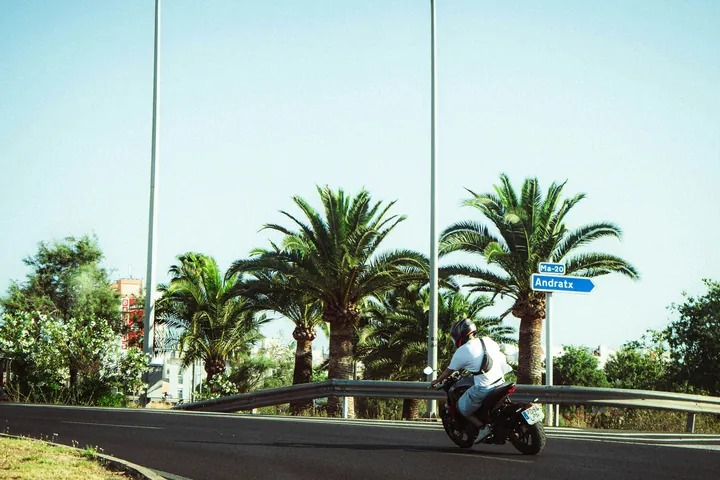 Motorcyclist leaning into a curve under palm trees. A rider takes a sharp turn on an open road lined with palm trees — speed, motion, and freedom under the sun.