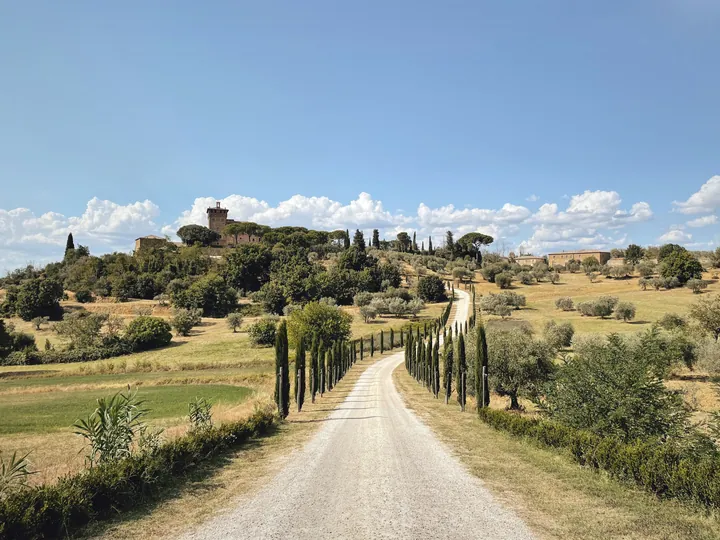 Perched in the heart of Val d'Orcia, the Palazzo Massaini in Pienza stands as a testament to Renaissance architecture. This magnificent palace, dating back to the 15th century, exudes elegance and grandeur. Its stone façade, adorned with intricate details, reflects the region's rich cultural heritage. As you step inside, you are transported to a bygone era of opulence and refinement. The palazzo's stunning courtyard invites you to soak in the timeless beauty of this Tuscan gem. This iconic cypress road can be seen when you drive from Pienza to Montepulciano.