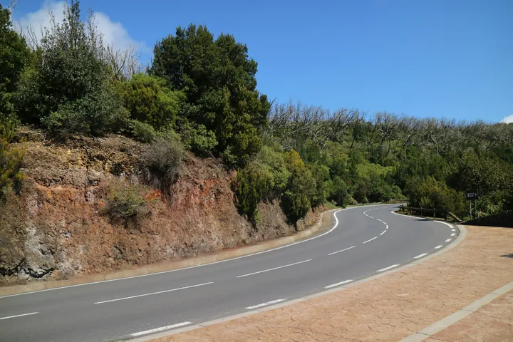 a curve in the road with trees on both sides